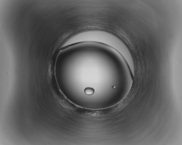 X0000116860116200912221146