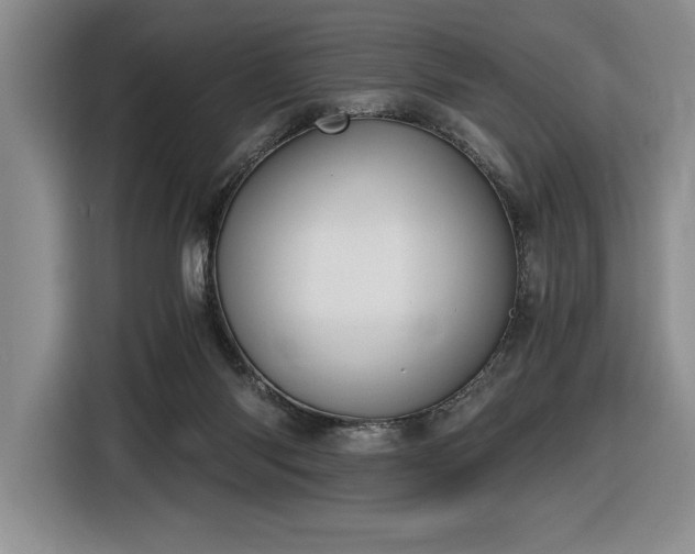 X0000116860118200912221146