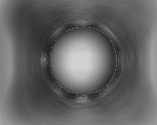 X0000116860119200912221146