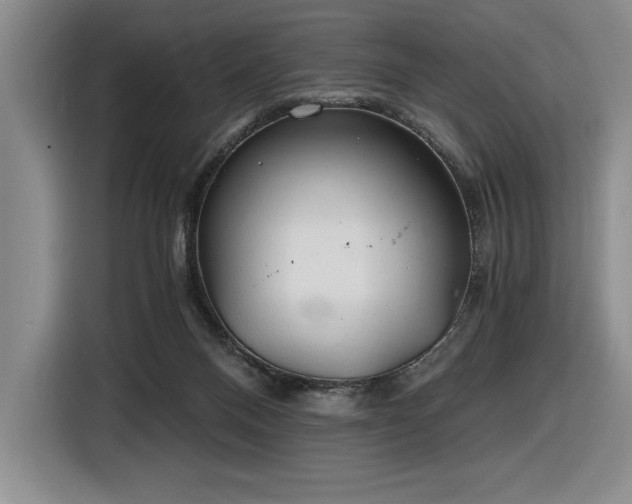 X0000116860120200912221146