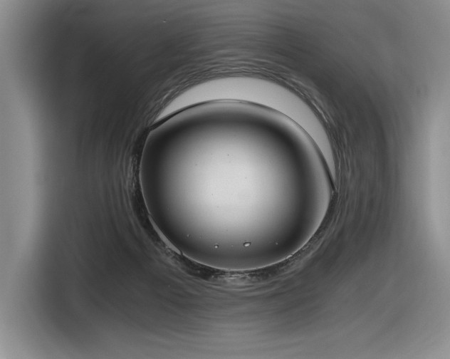 X0000116860121200912221146