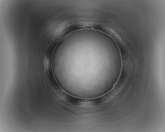 X0000116860123200912221146
