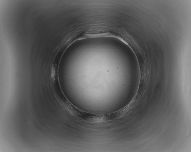 X0000116860124200912221146