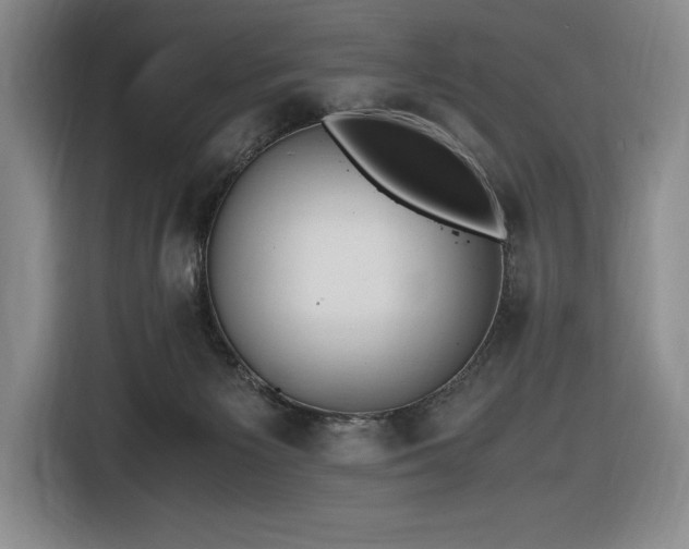 X0000116860125200912221146