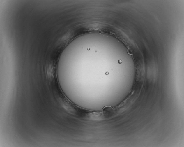 X0000116860126200912221146