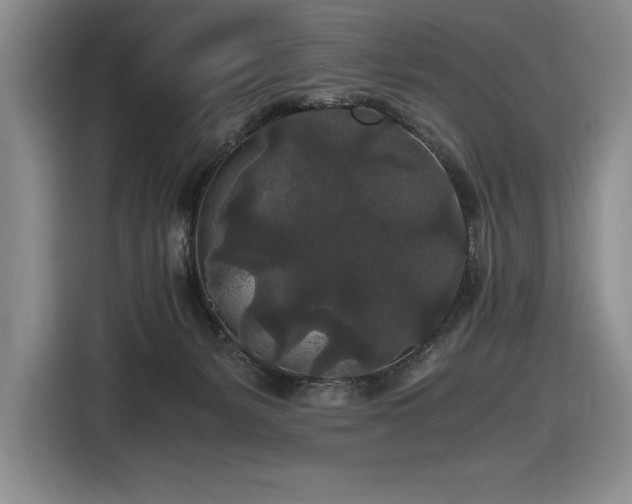 X0000116860127200912221146