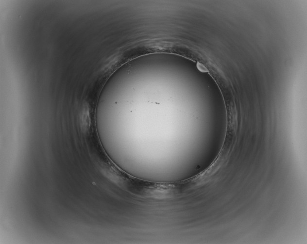 X0000116860128200912221146