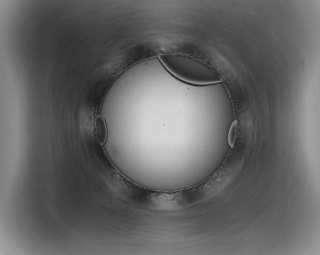 X0000116860129200912221146