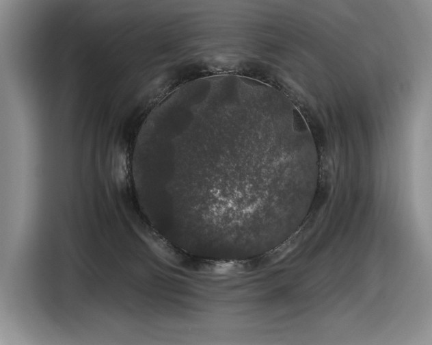 X0000116860130200912221146