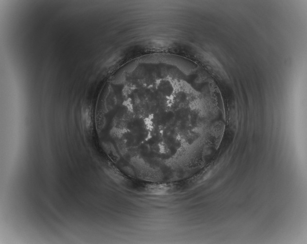 X0000116860131200912221146