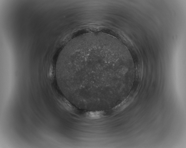 X0000116860134200912221146