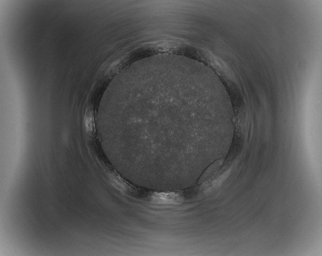 X0000116860137200912221146