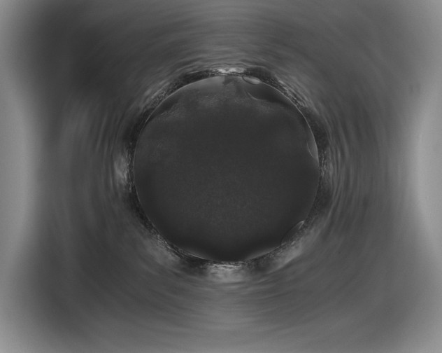 X0000116860139200912221146