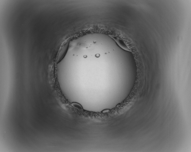 X0000116860144200912221146