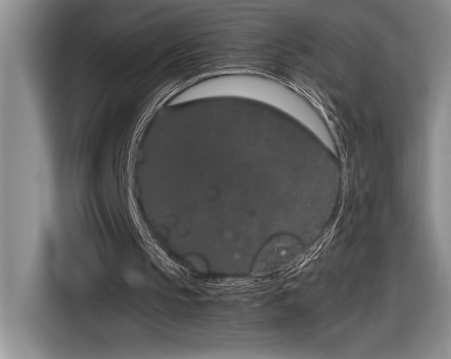 X0000116860145200912221145