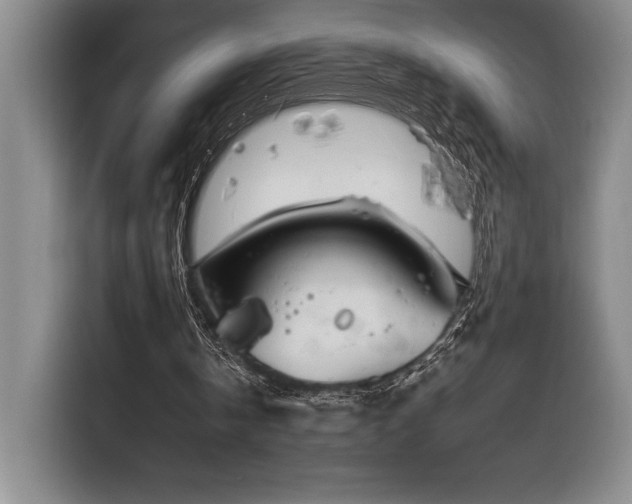 X0000116860146200912221145