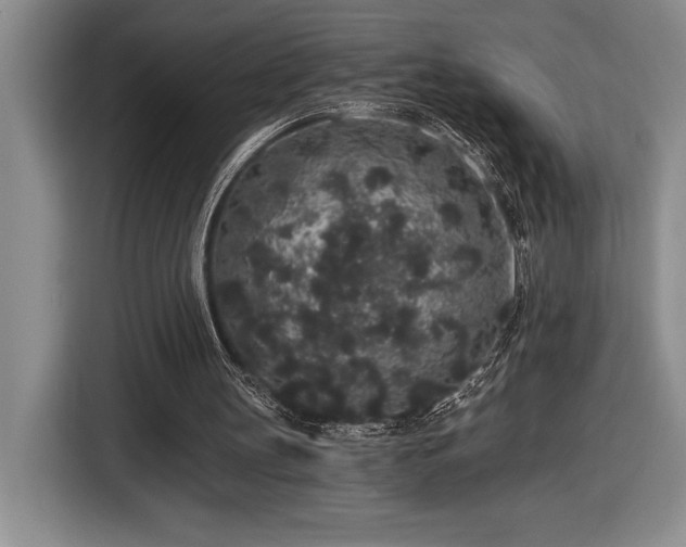 X0000116860147200912221145