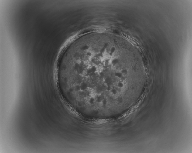 X0000116860149200912221145