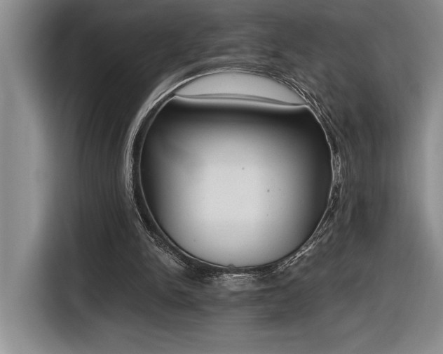 X0000116860150200912221145
