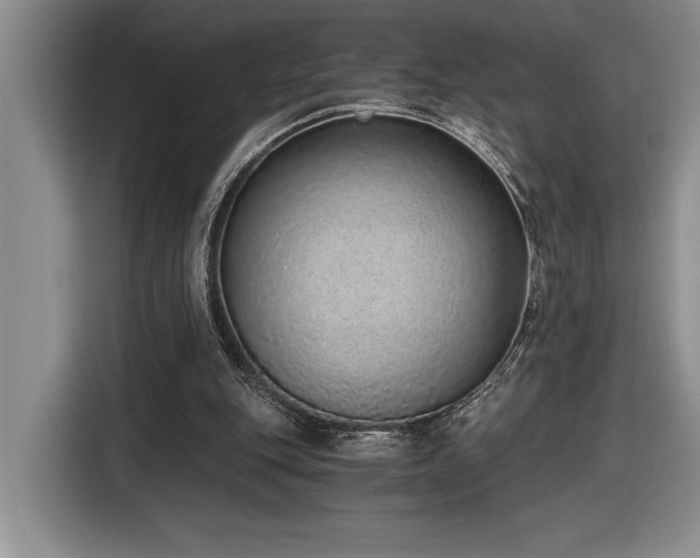 X0000116860151200912221145
