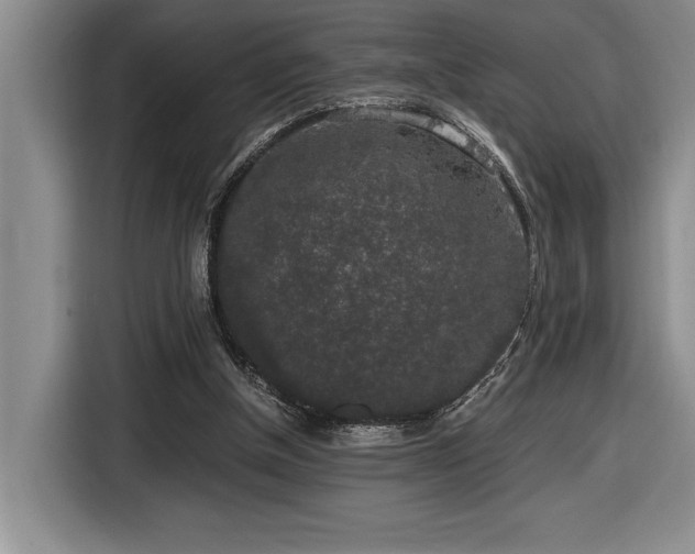 X0000116860154200912221145