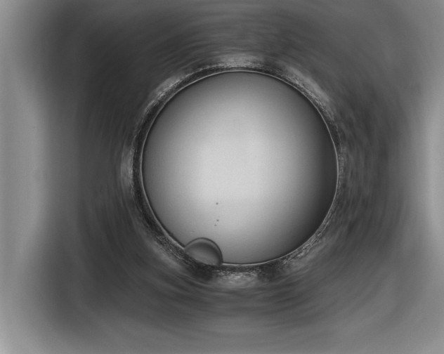 X0000116860155200912221145