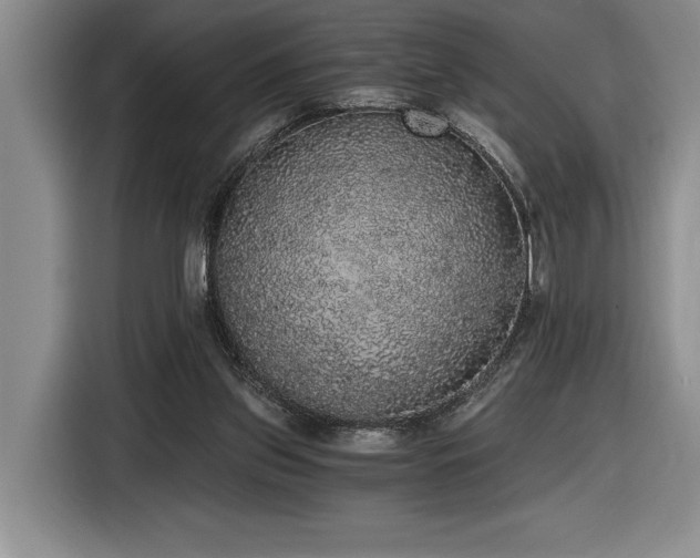 X0000116860157200912221145
