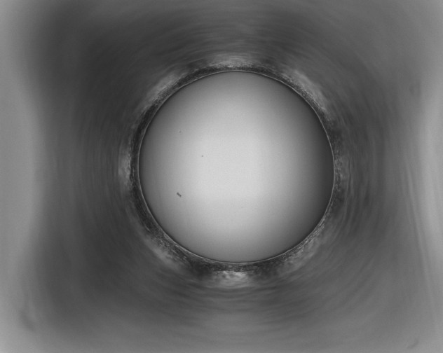 X0000116860159200912221145
