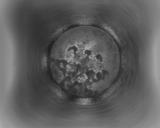 X0000116860161200912221145