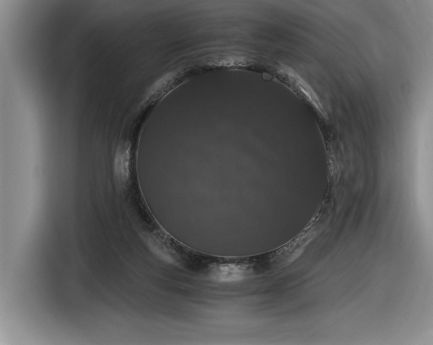 X0000116860163200912221145