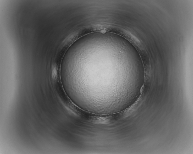 X0000116860166200912221145