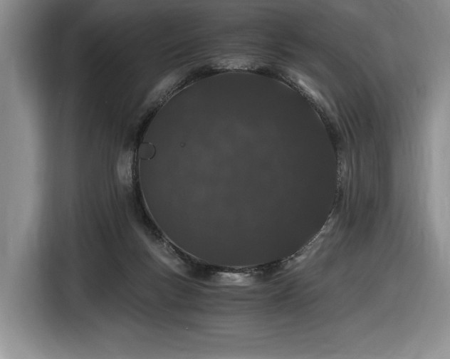 X0000116860167200912221145