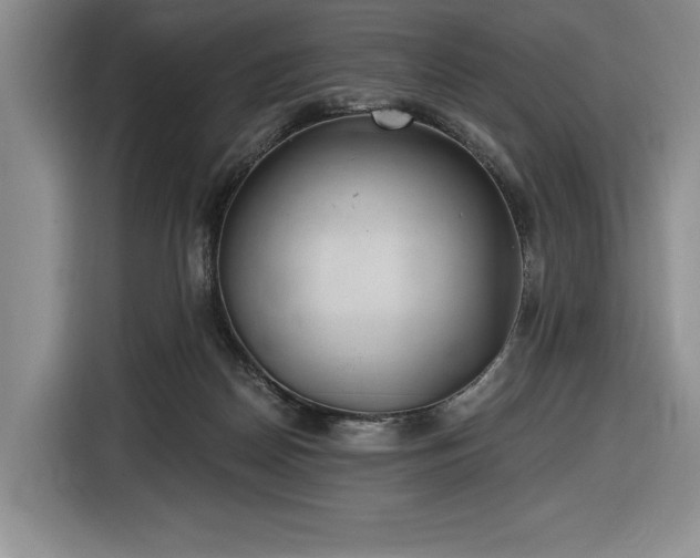 X0000116860170200912221145