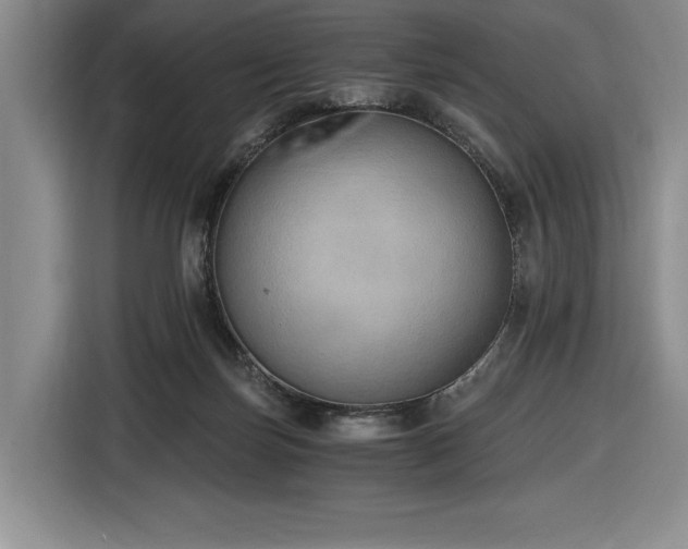 X0000116860171200912221145