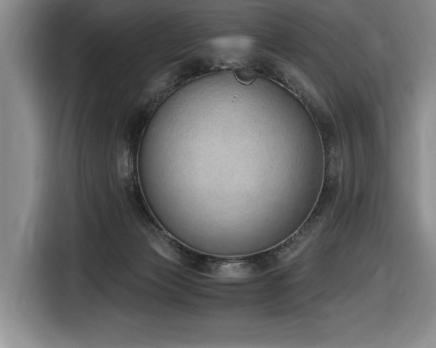 X0000116860173200912221146