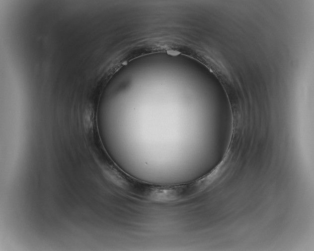 X0000116860174200912221146