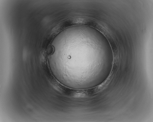 X0000116860175200912221146
