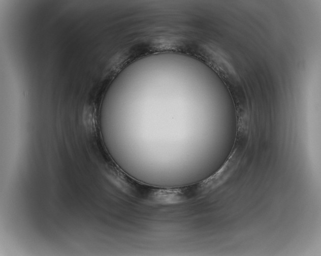X0000116860179200912221146