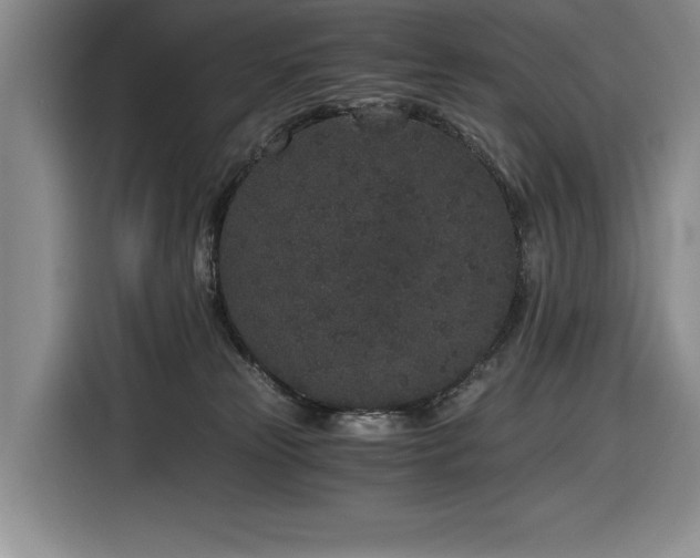 X0000116860181200912221146