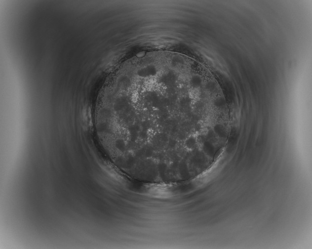X0000116860182200912221146