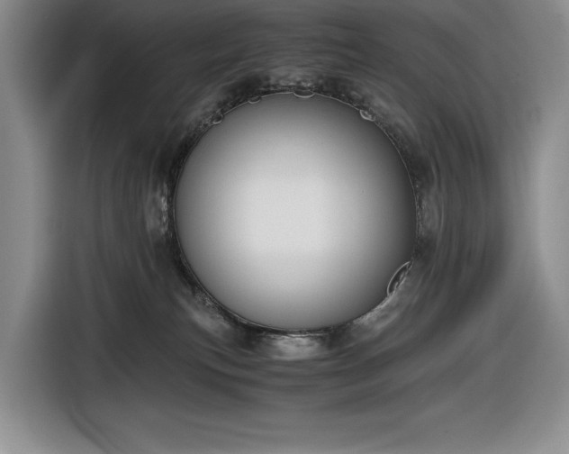 X0000116860183200912221146