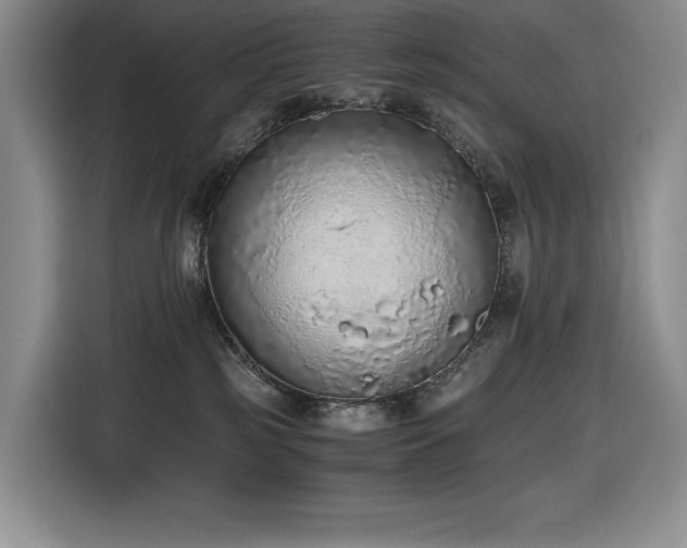 X0000116860185200912221146