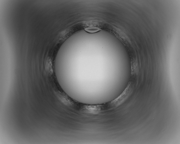 X0000116860187200912221146