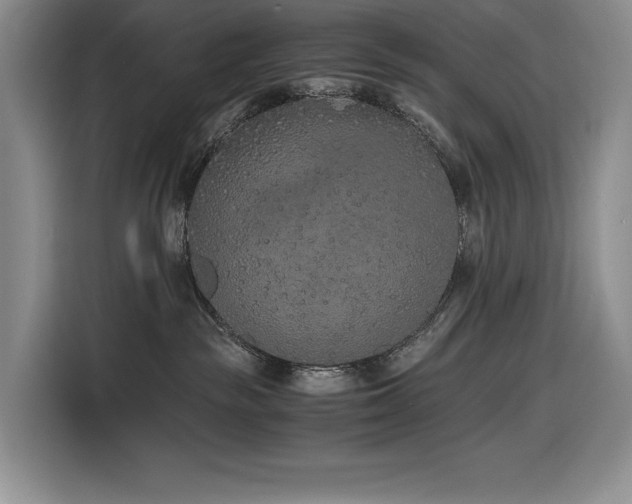 X0000116860189200912221146