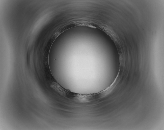 X0000116860190200912221146