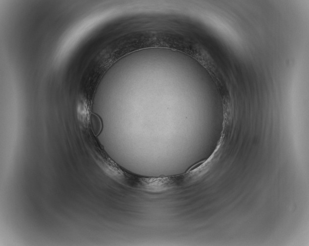 X0000116860191200912221146