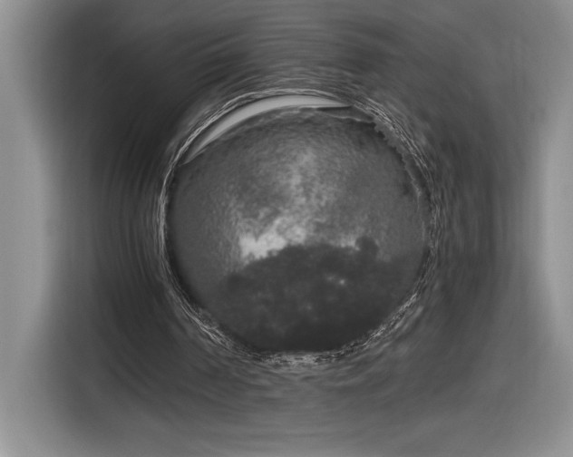 X0000116860194200912221145