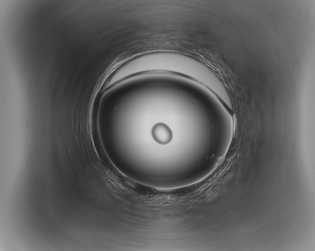 X0000116860195200912221145