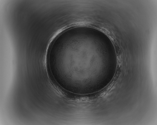 X0000116860196200912221145