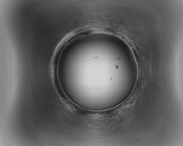 X0000116860197200912221145